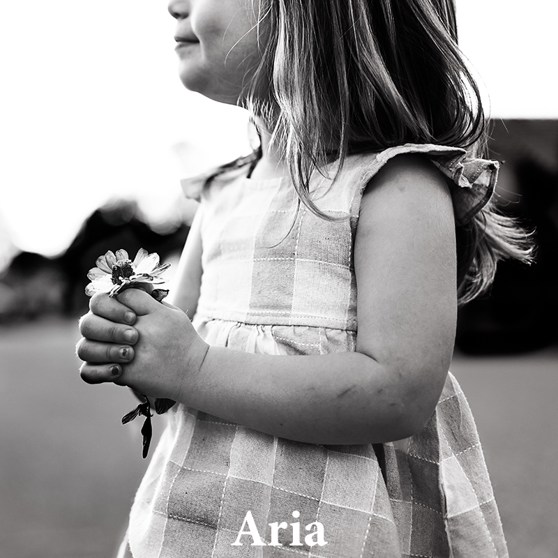 Aria: High contrast with rich blacks &amp; bright highlights
