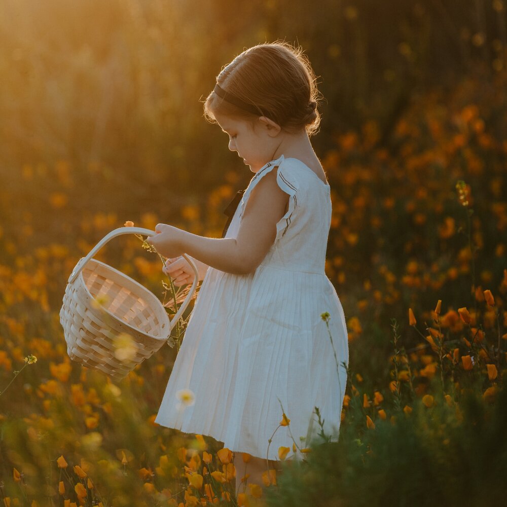 hello pretty   - capture the essence of warm golden light    image by Katelyn Viveiros