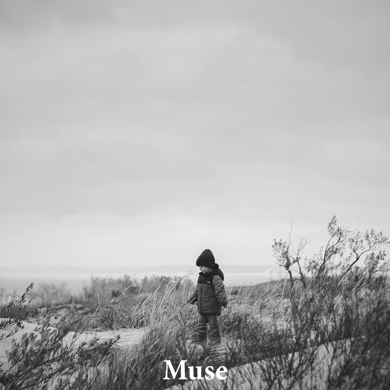 Muse: A classic &amp; versatile treatment for any image