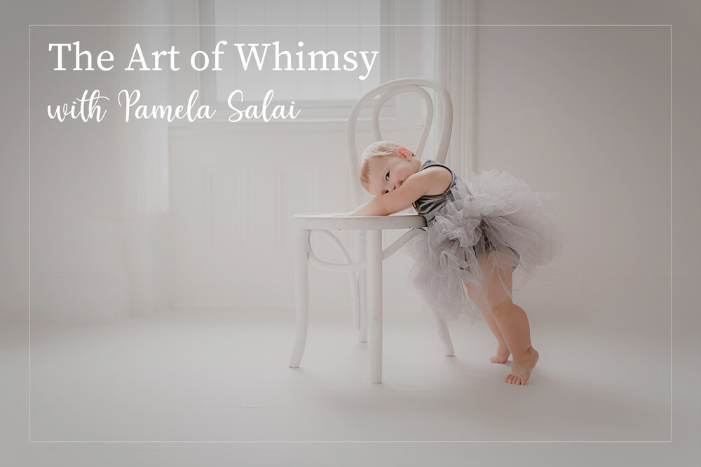 art of whimsy cover.jpg