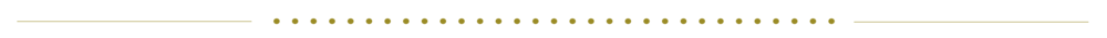 dot divider - Web Page.png