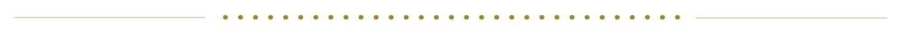 dot divider 2.png
