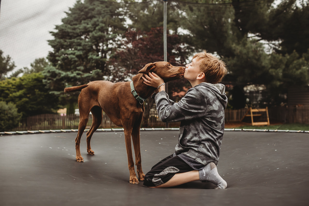 Creative Photograph of dogs with child