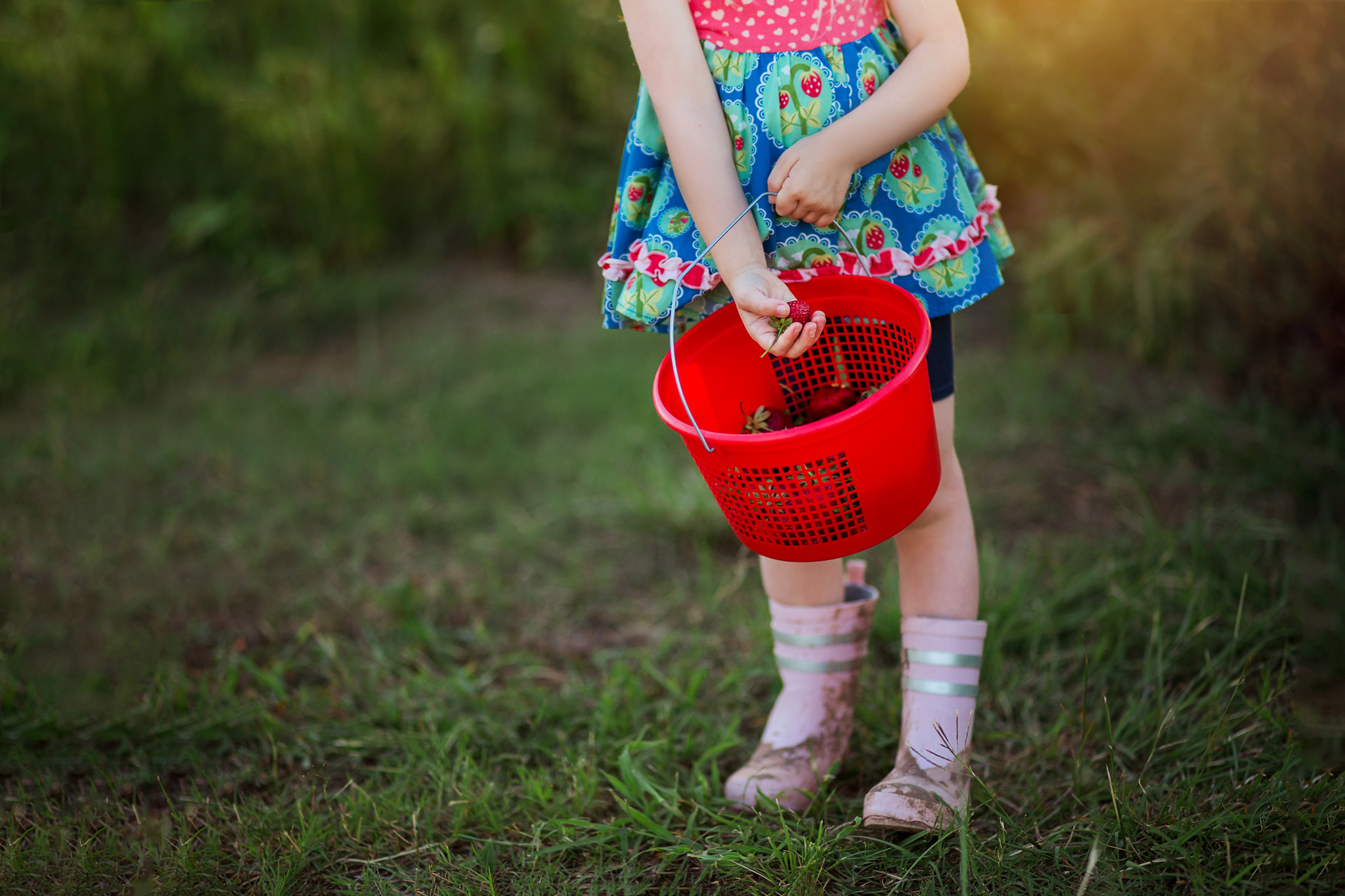 Spring Bucket List - strawberry bucket