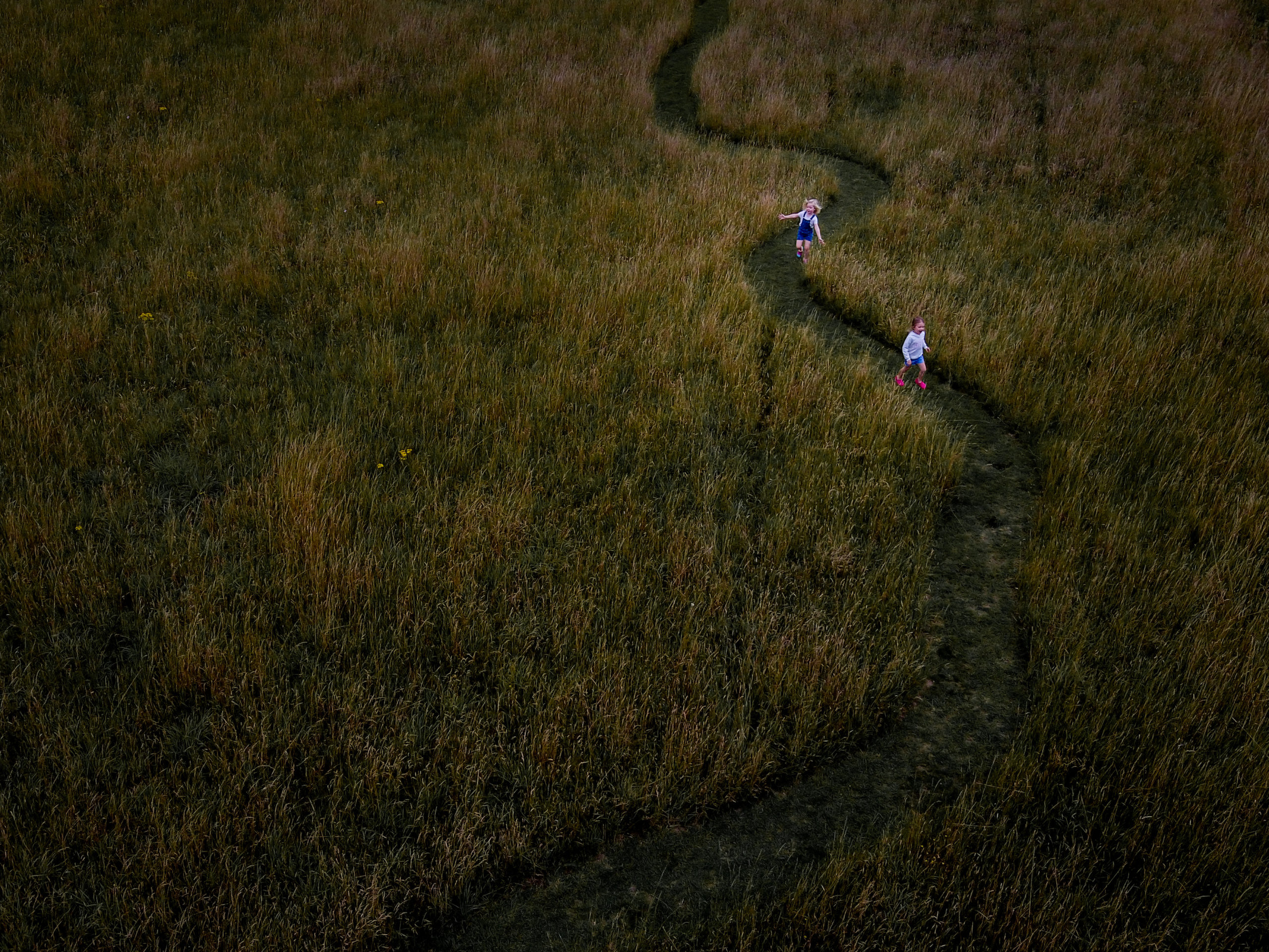 Children on grassy path