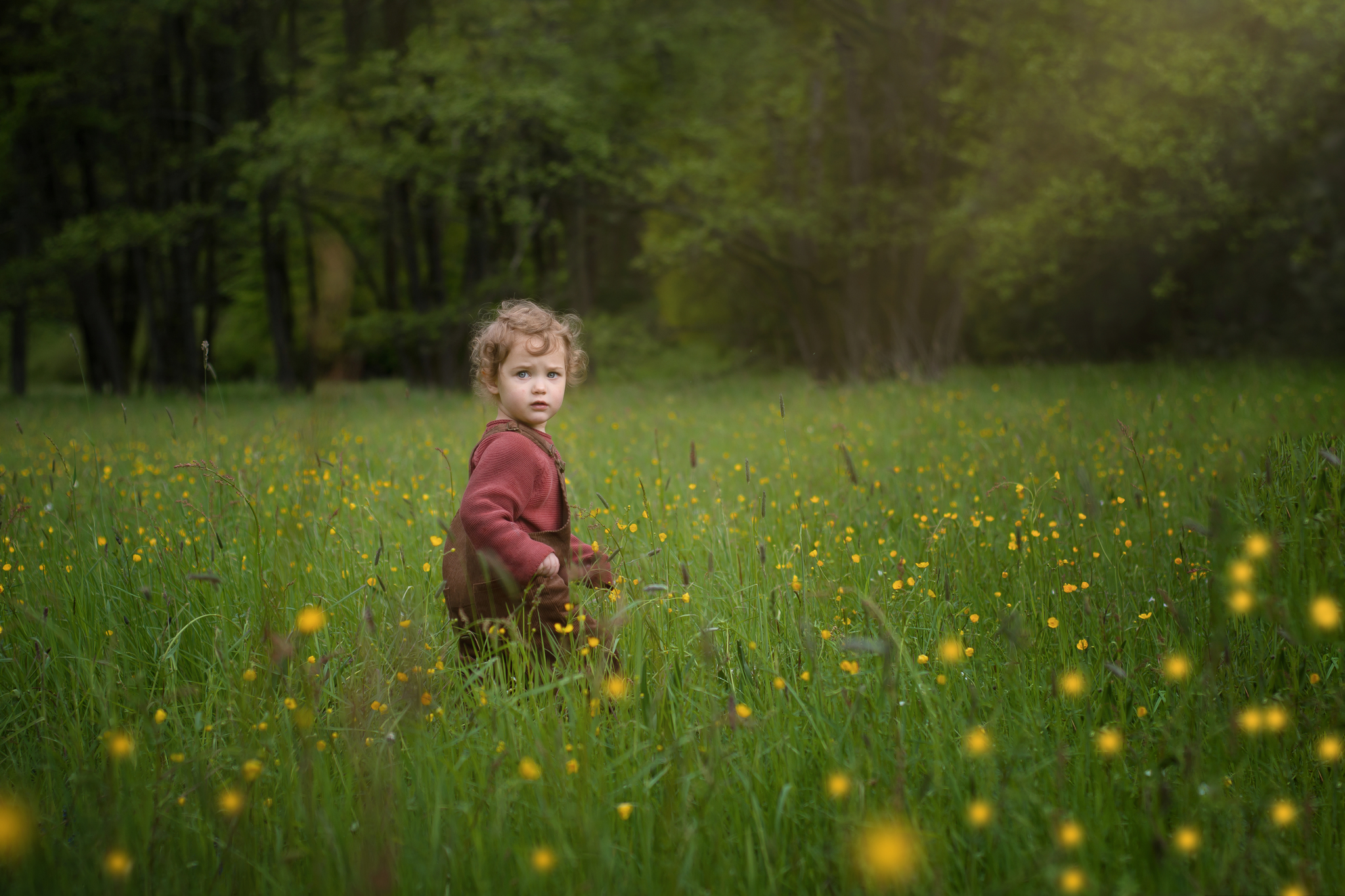 Child in a meadow
