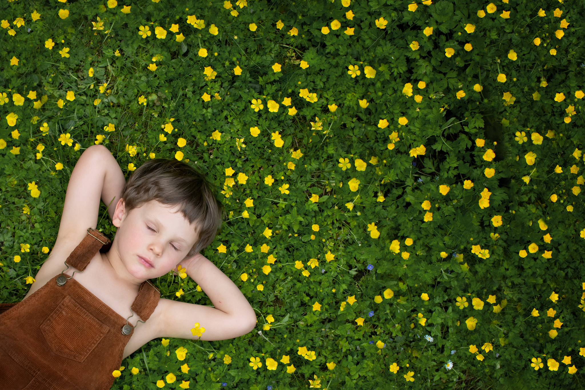Boy Laying In Flowers