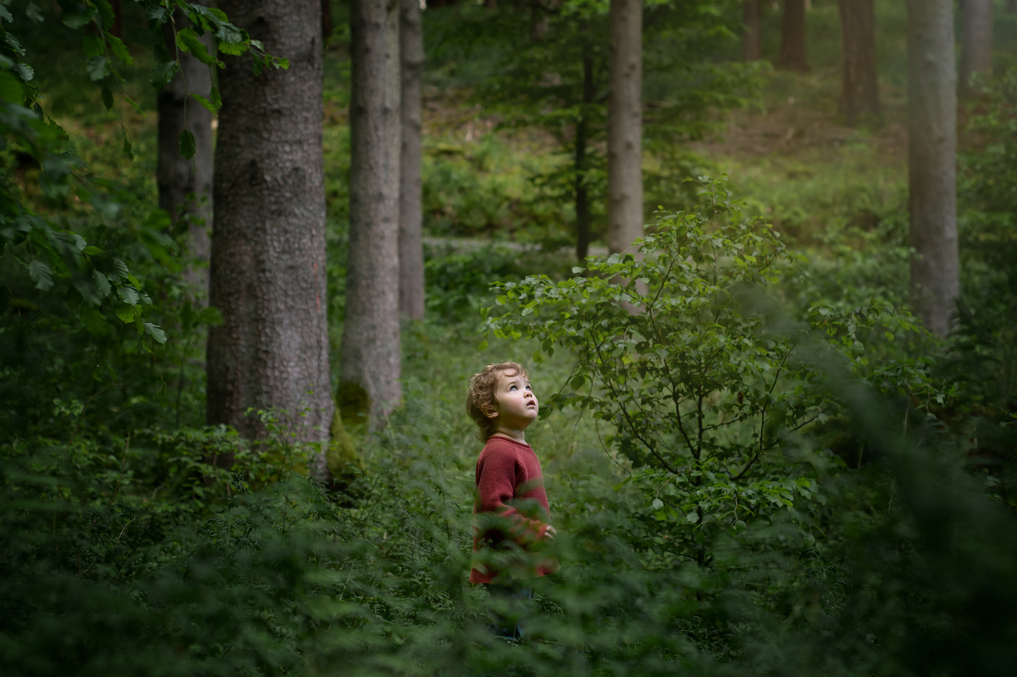 Environmental Portraits - In the Woods
