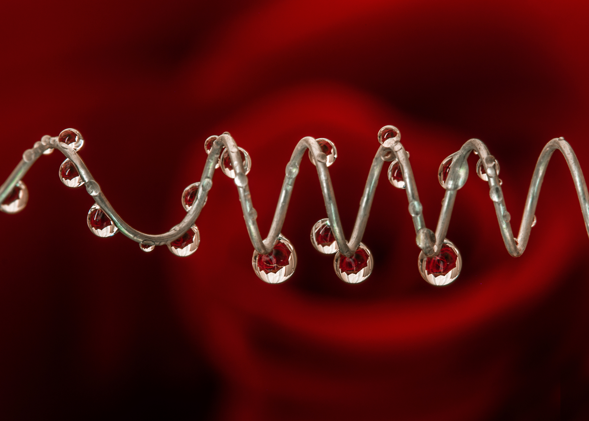 7-rose-droplets