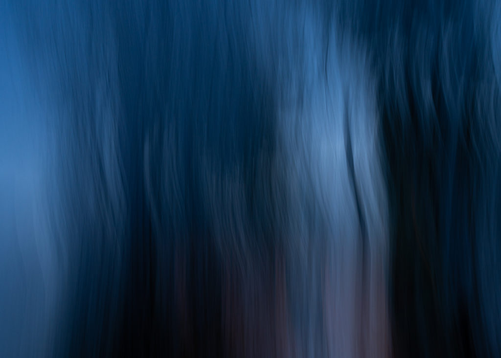 ICM - Blue Trees