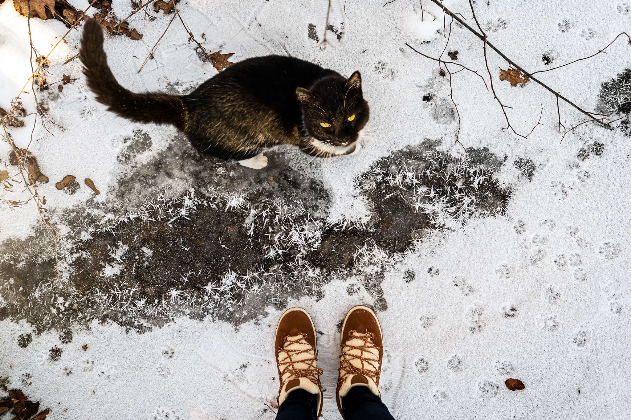 Where I Stand - Holly Awwad