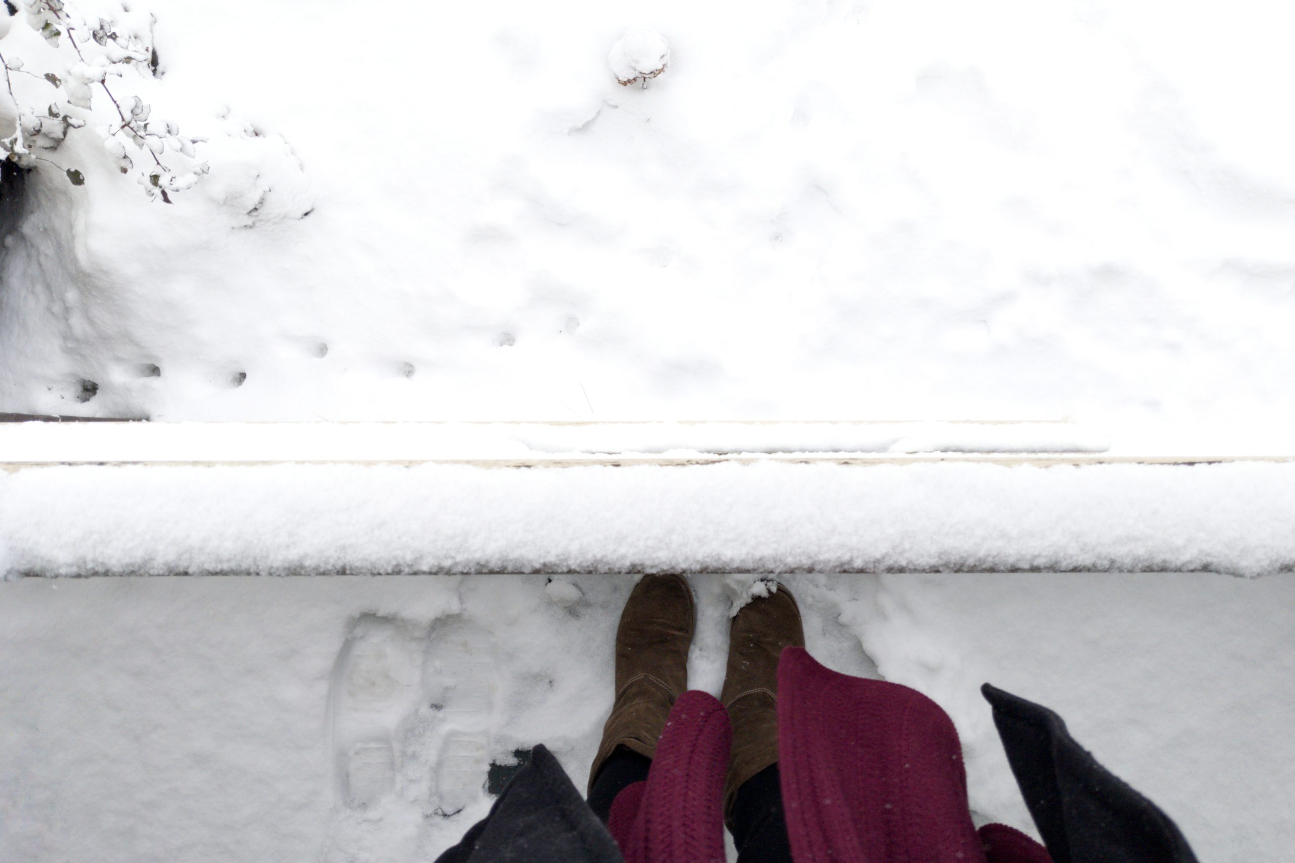 Where I Stand - Ruth Anne Holloway