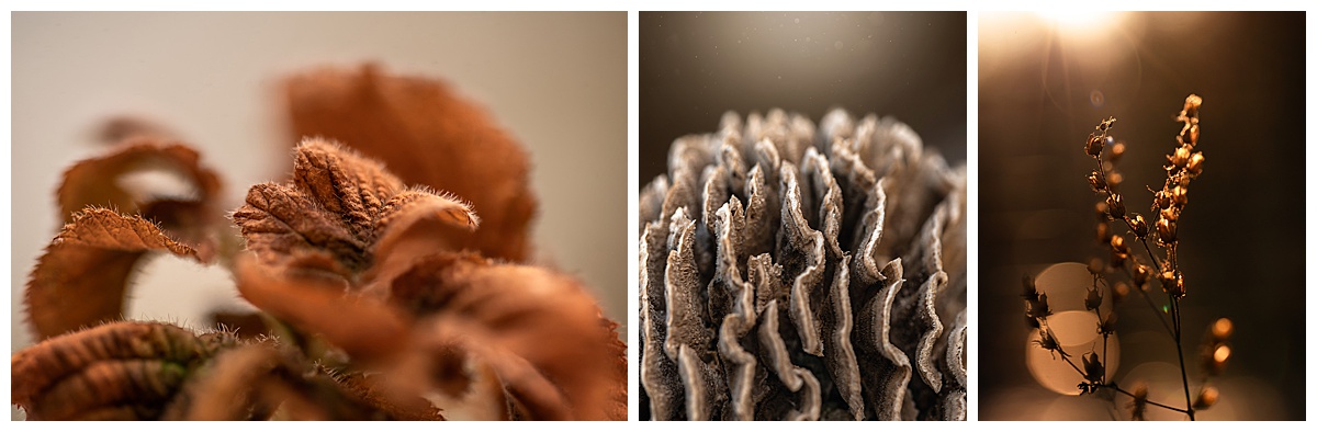 Hello Creative Monthly Story Project - Holly Awwad