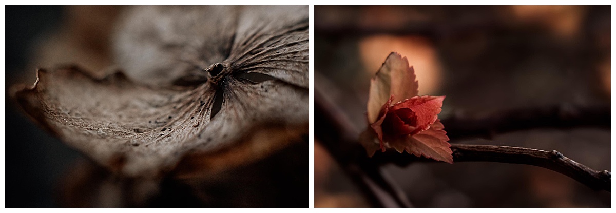 Hello Creative Monthly Story Project - Samantha Deakin
