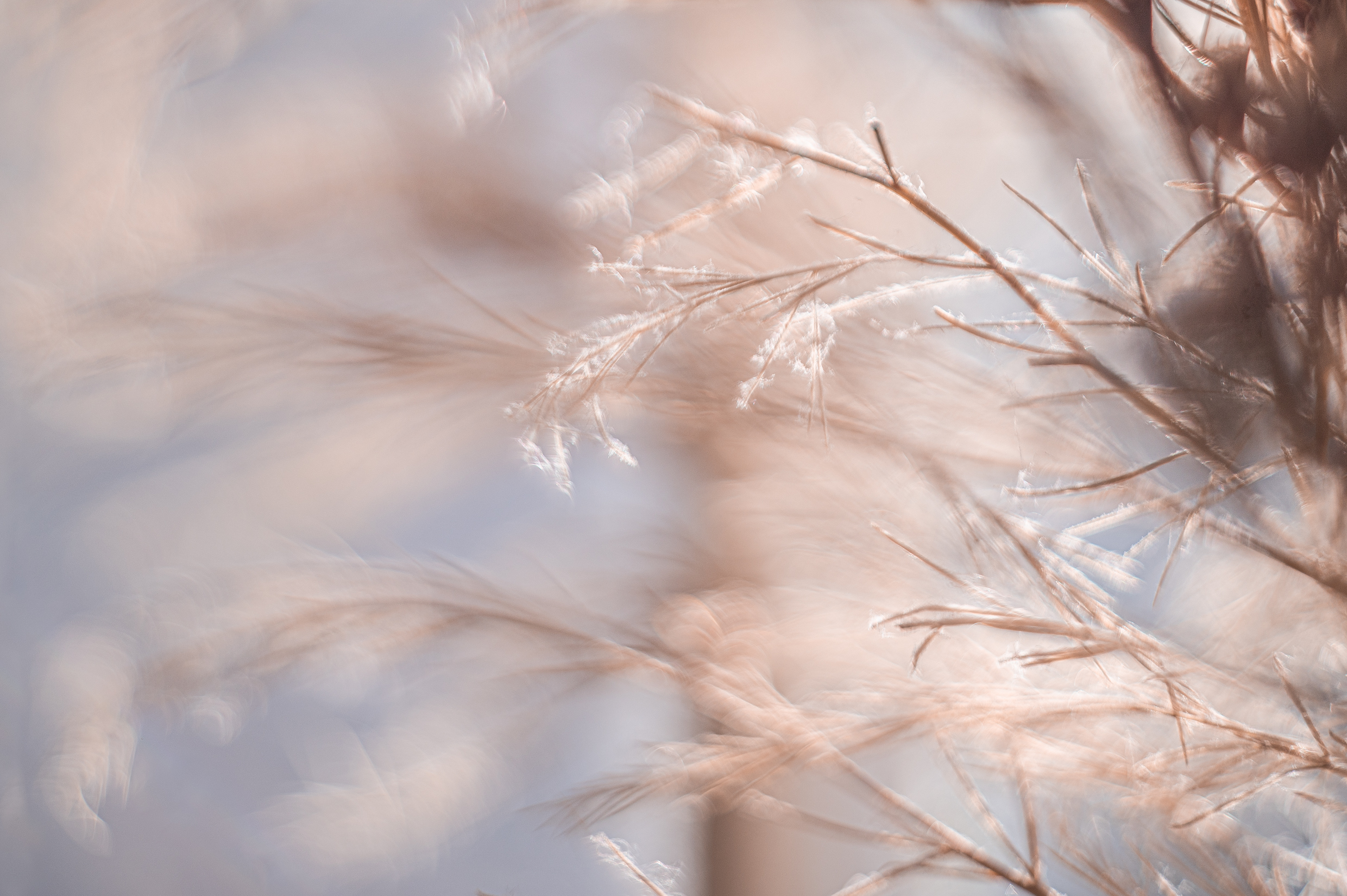 Hello Creative Monthly Story Project - Ruthanne Holloway