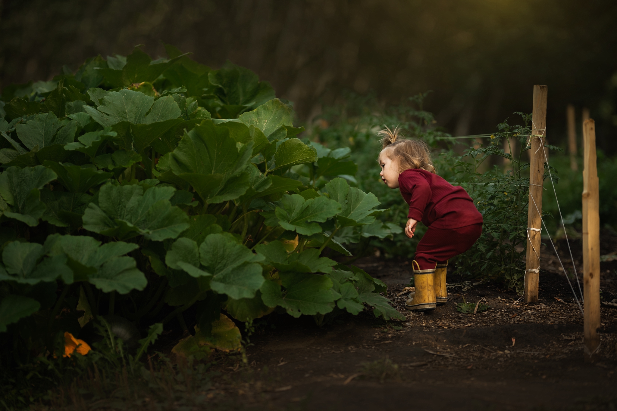 From backyard to dream location - little girl in garden