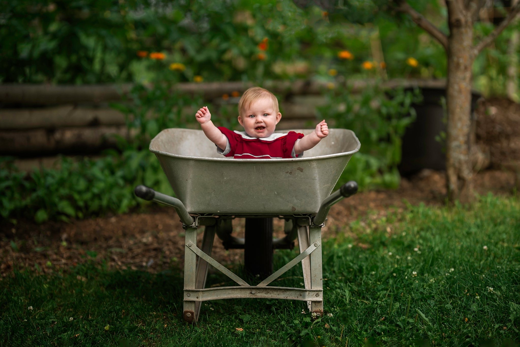 The Inspiration Hierarchy - baby in wheelbarrow 