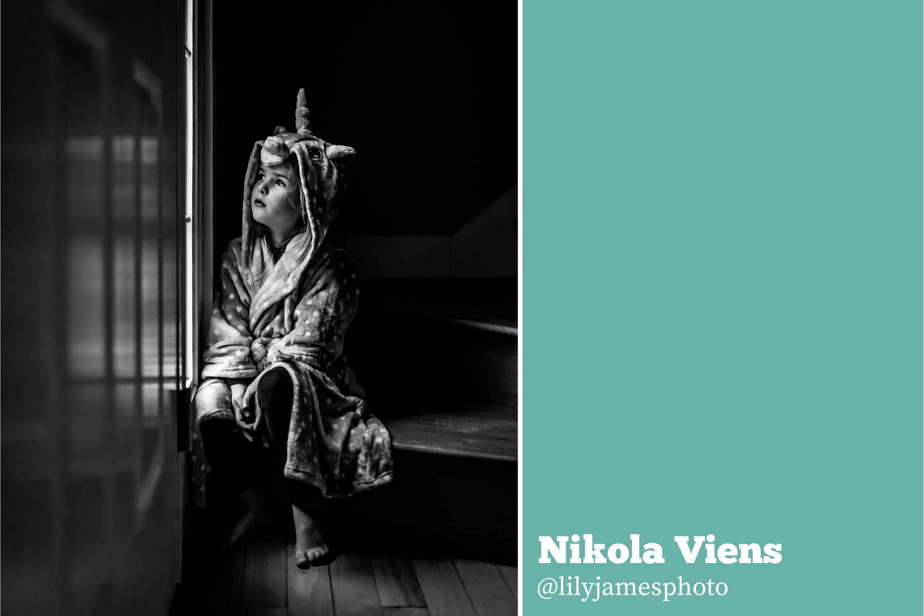 Hello Storyteller Member Project - Nikola Veins