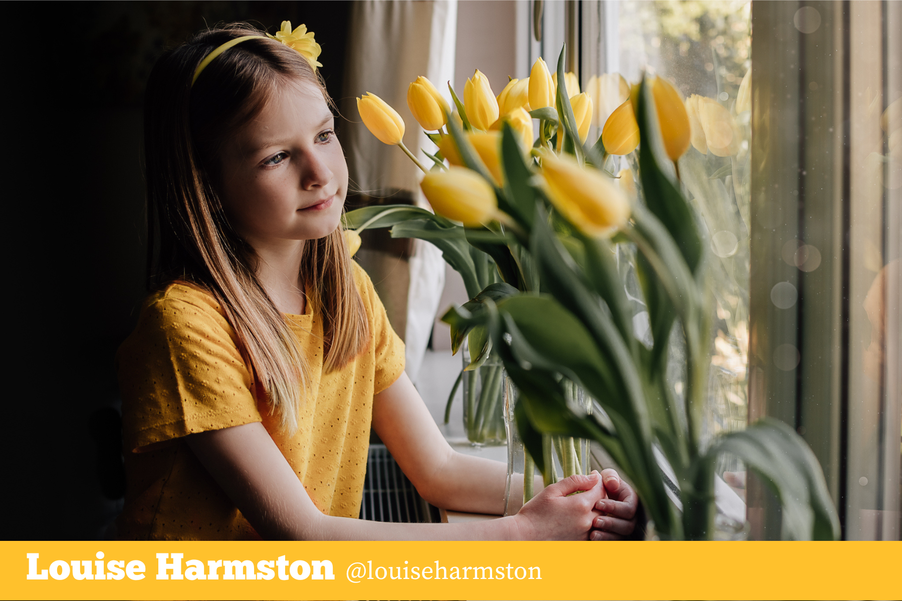 Hello Storyteller Color Project - Louise Harmston