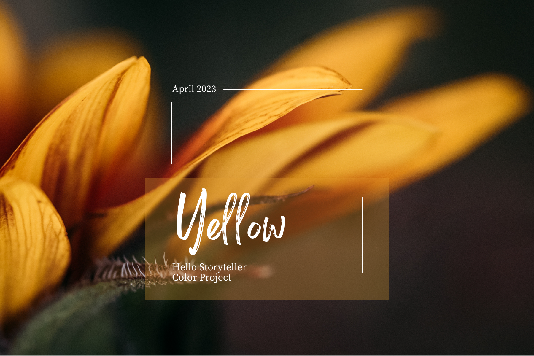 color-project-yellow-blog-images18