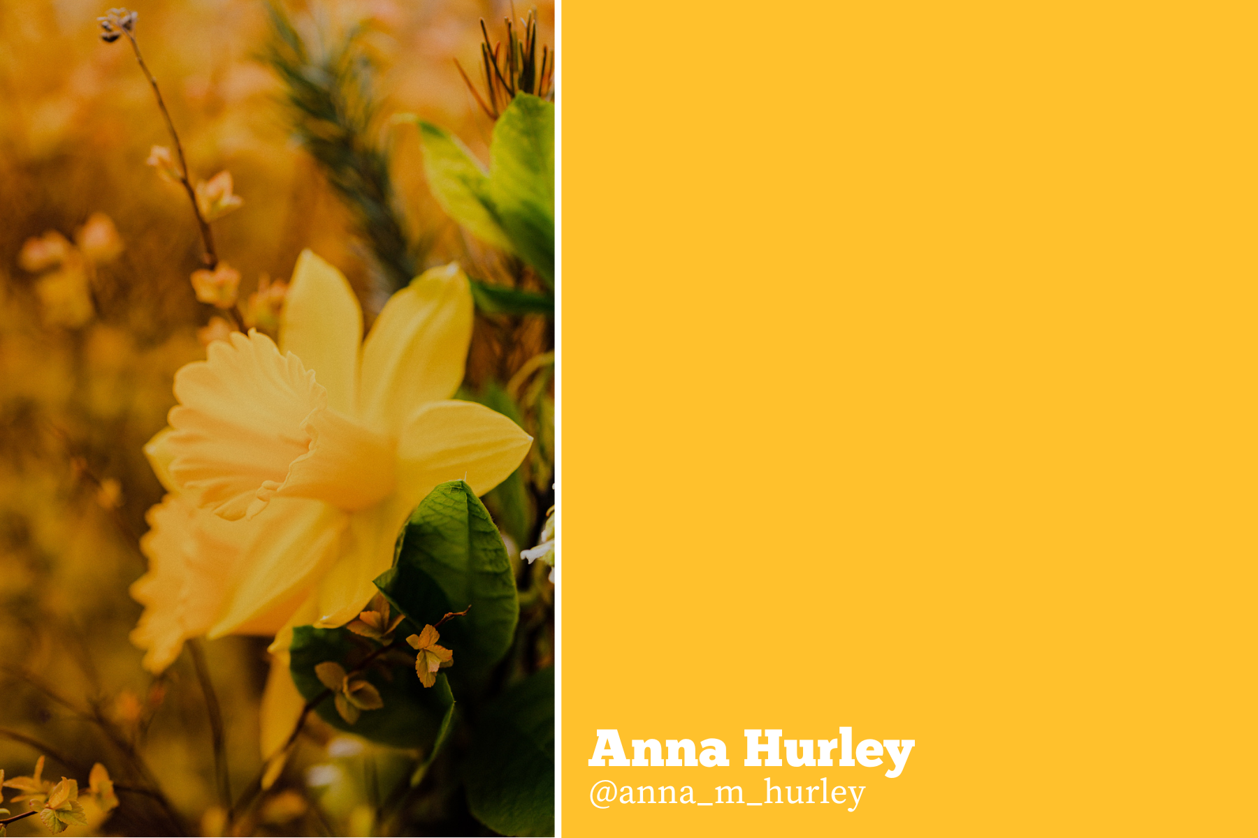 Hello Storyteller Color Project - Anna Hurley