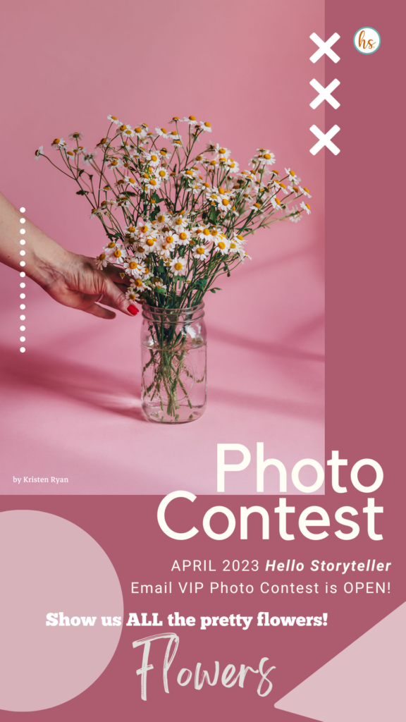 hs-vip-photo-contest-2