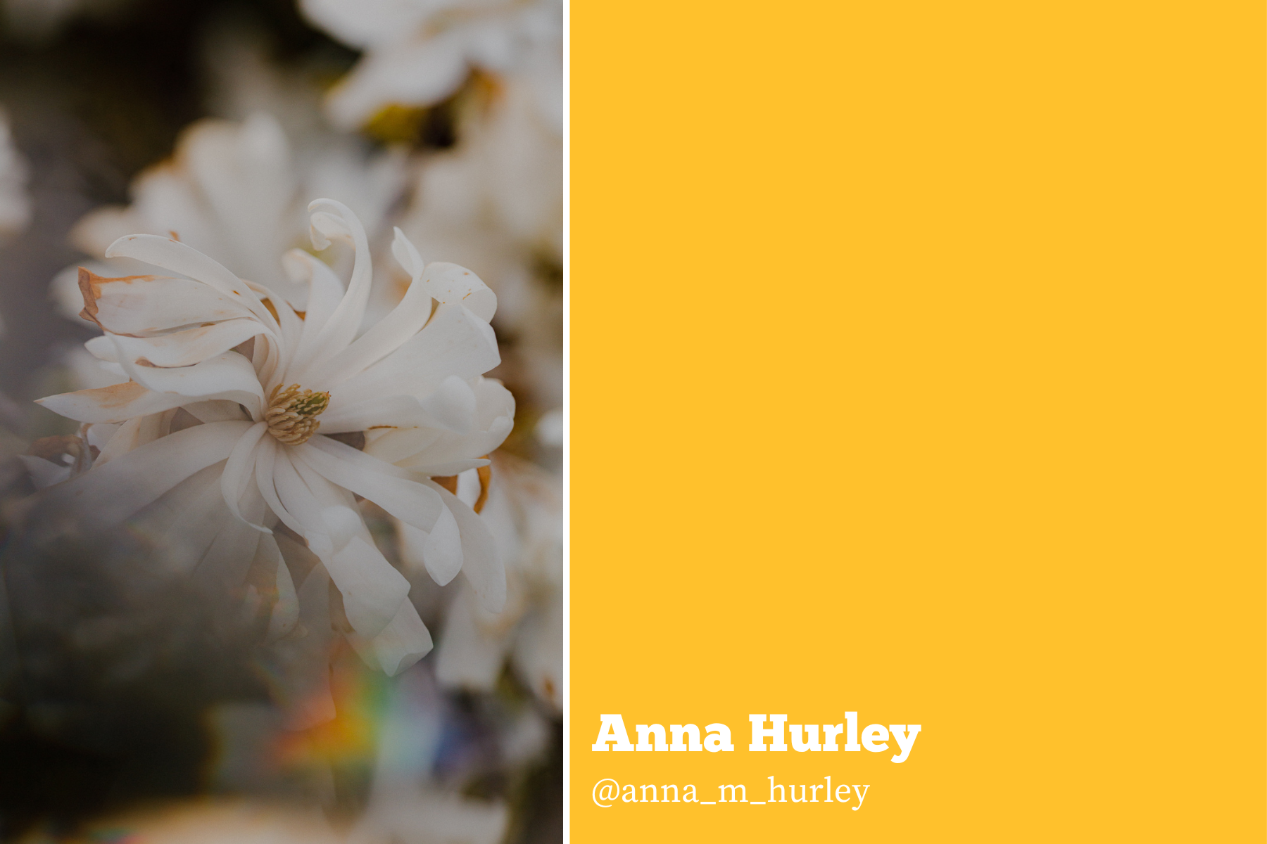 Hello Creatives Monthly Story Project -Anna Hurley