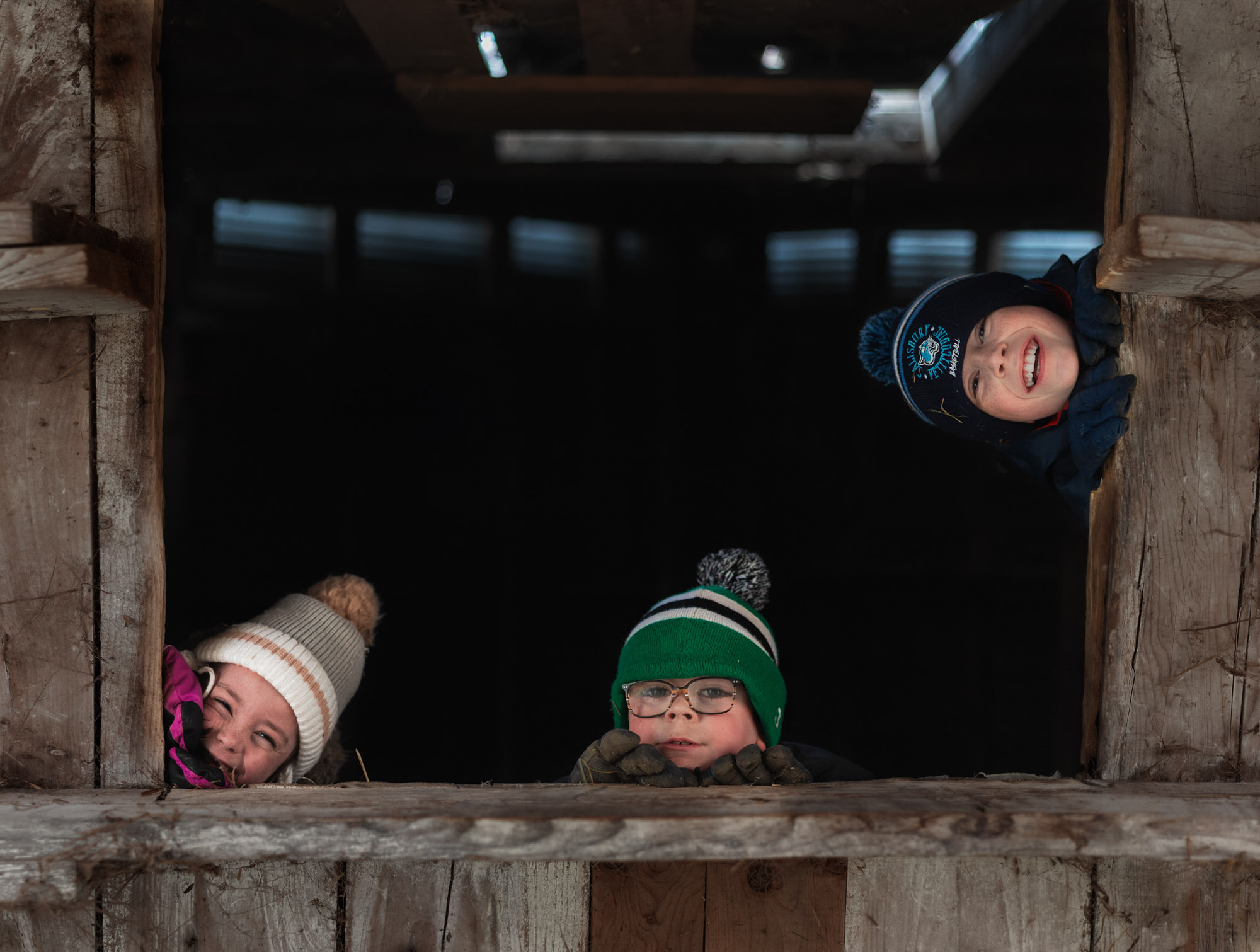 Kids looking through barn floor