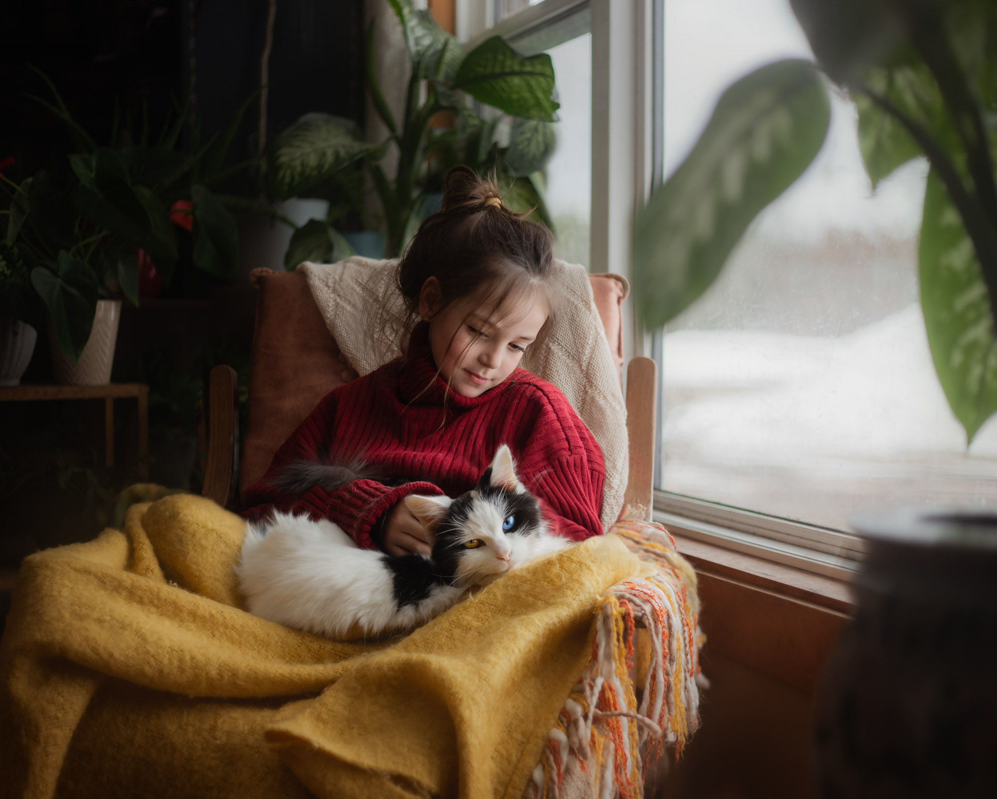 girl petting a cat by the window