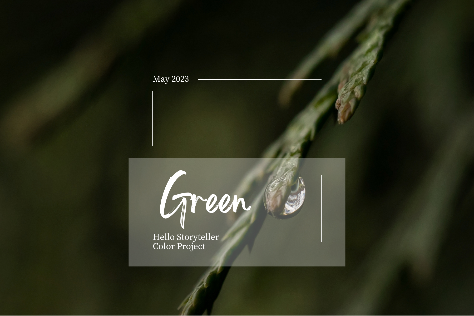 abicoopcovercolor-project-green-blog-images2