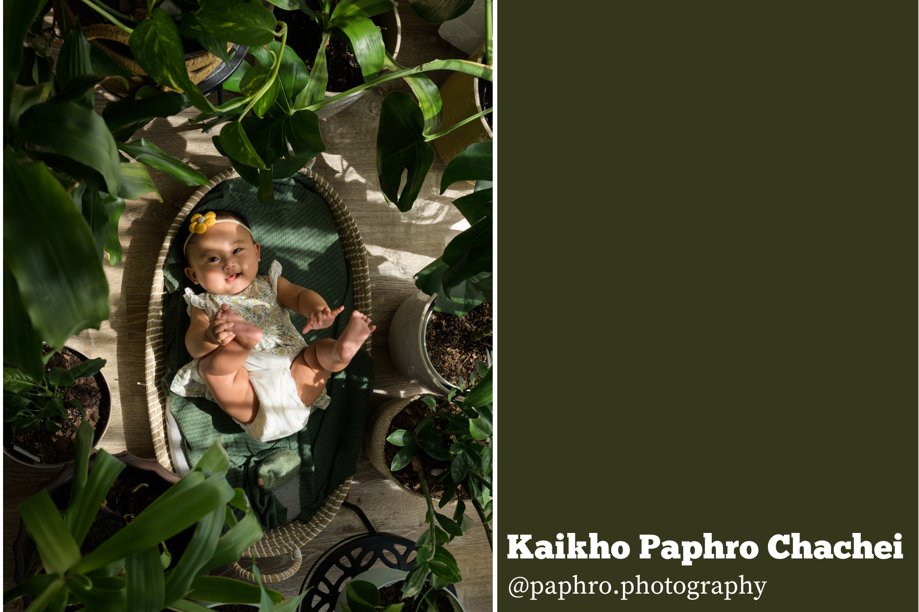 Hello Storyteller Color Project -Kaikho Paphro Chachei