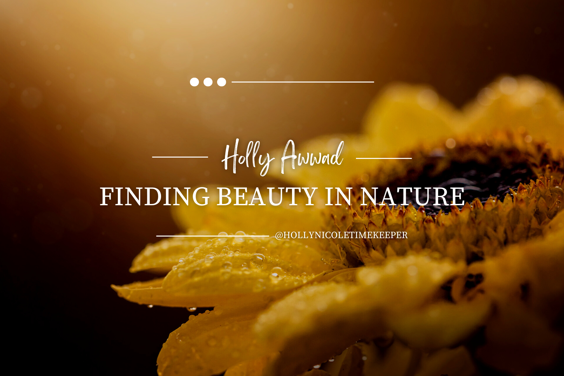 Finding Beauty in Nature by Holly Awwad