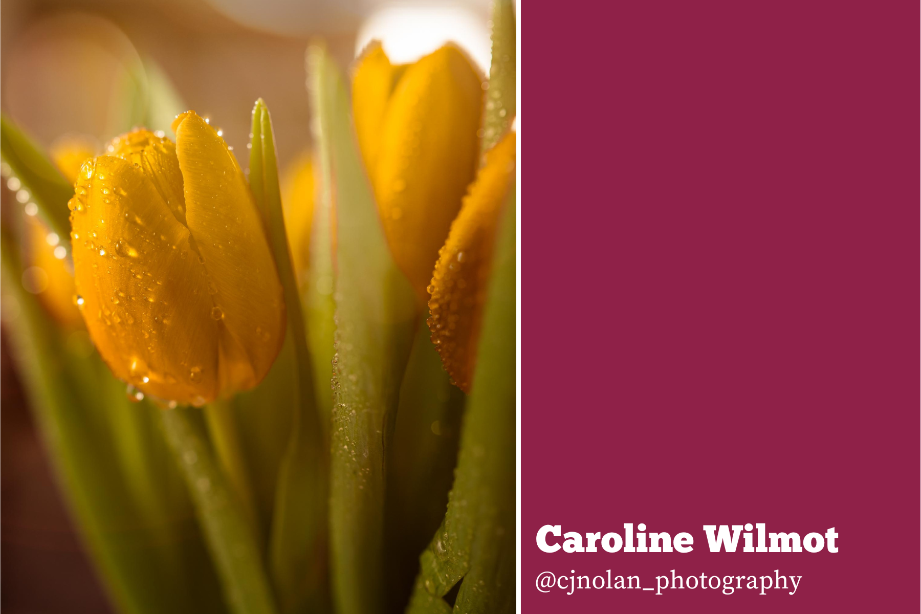 April VIP Photo Contest - Caroline Wilmot