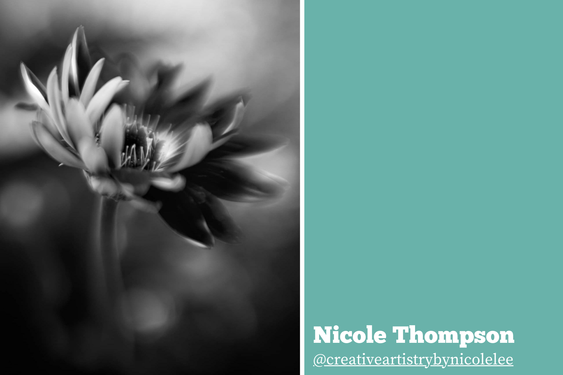 Hello Storyteller Weekly Faves - Nicole Thompson