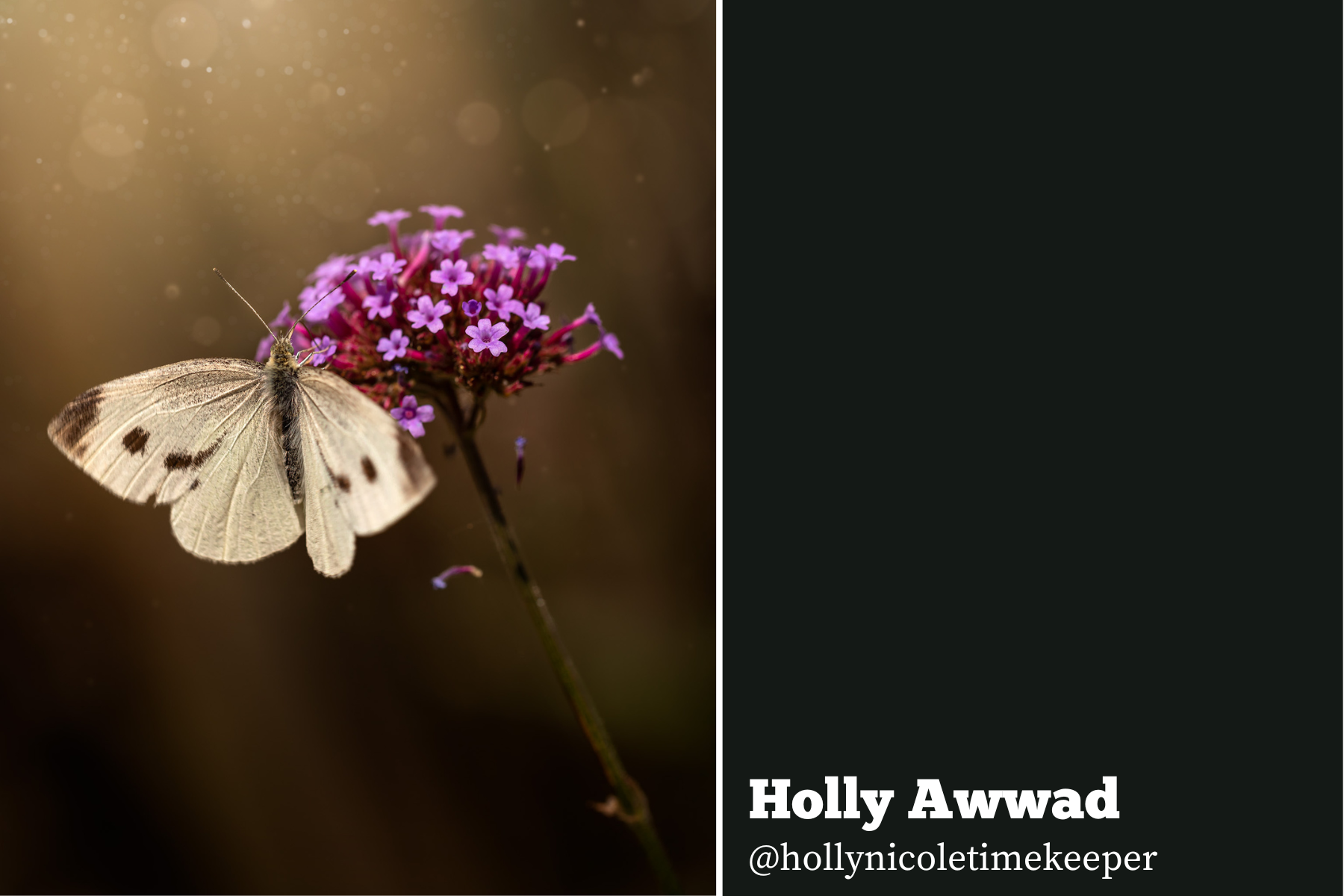Hello Storyteller Edit Me Project - Holly Awwad