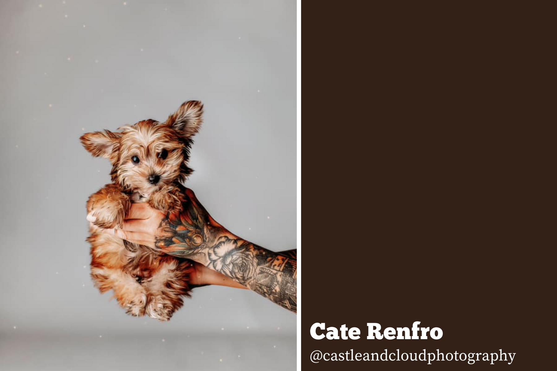 Hello Storyteller Weekly Faves - Cate Renfro
