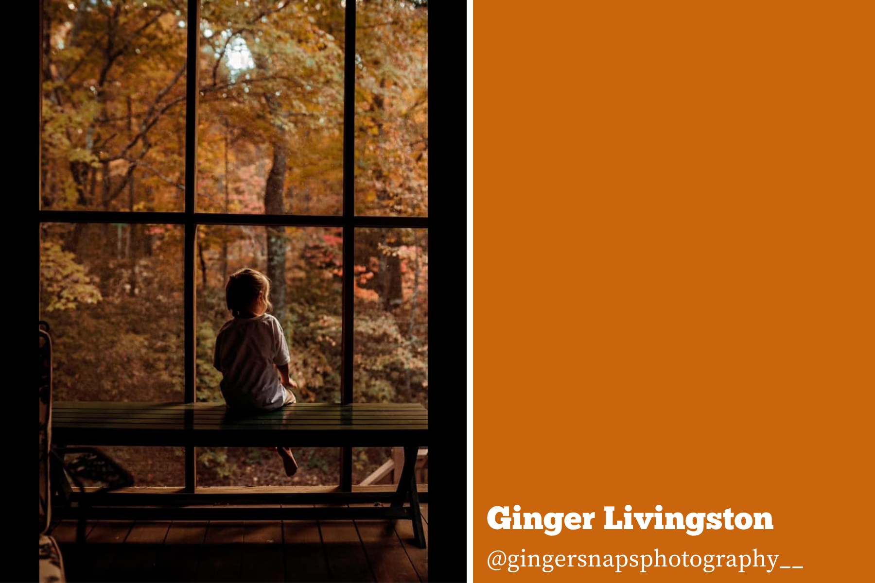 Hello Storyteller Weekly Faves - ginger-anderson-livingston-10-30