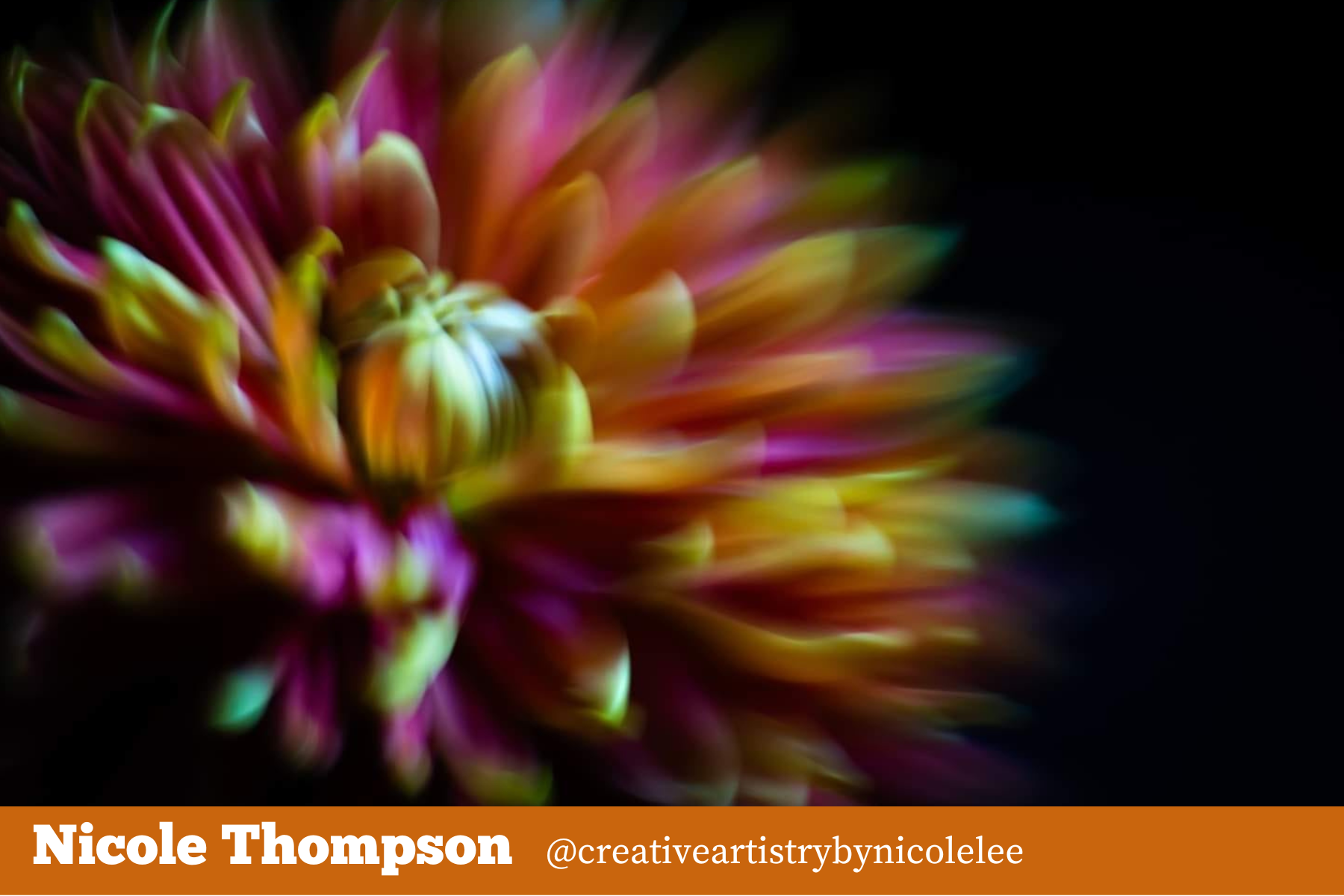 Hello Storyteller Weekly Faves - nicole-thompson-1030