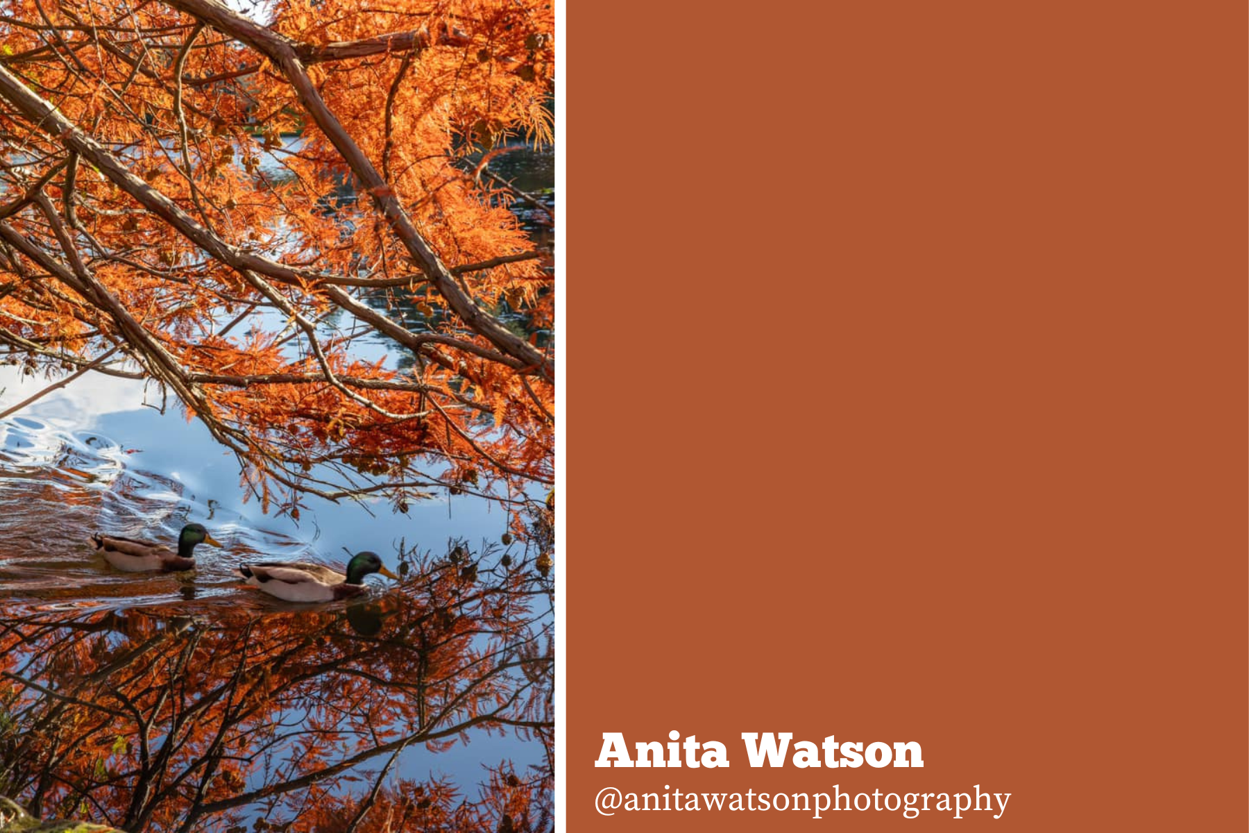 anita-watson-11-27