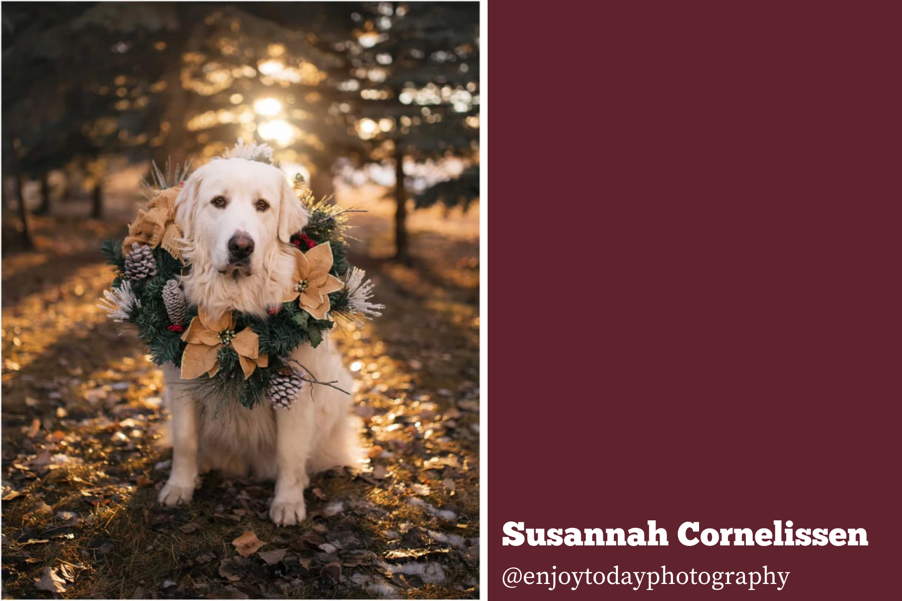 Hello Storyteller Weekly Faves - susannah-cornelissen-12-11