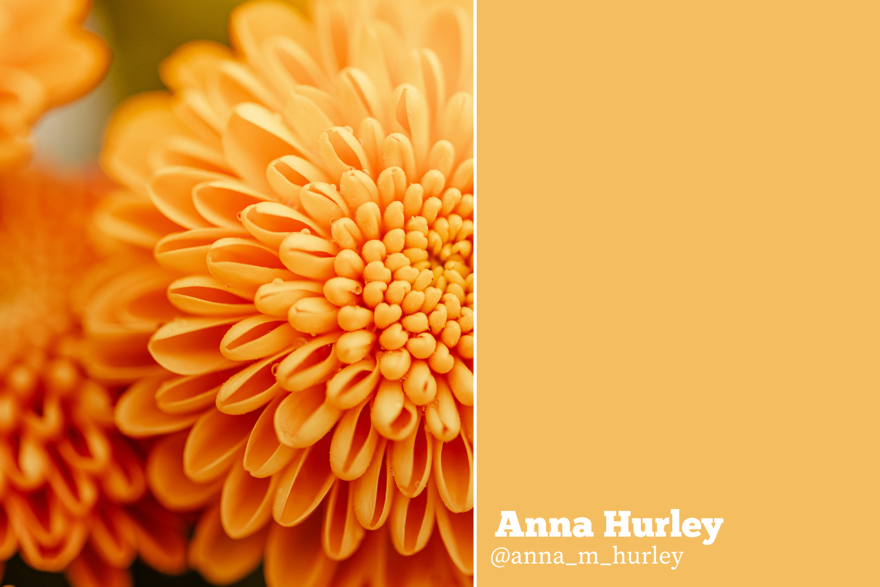 Hello Creatives Monthly Story Project - anna-fresh
