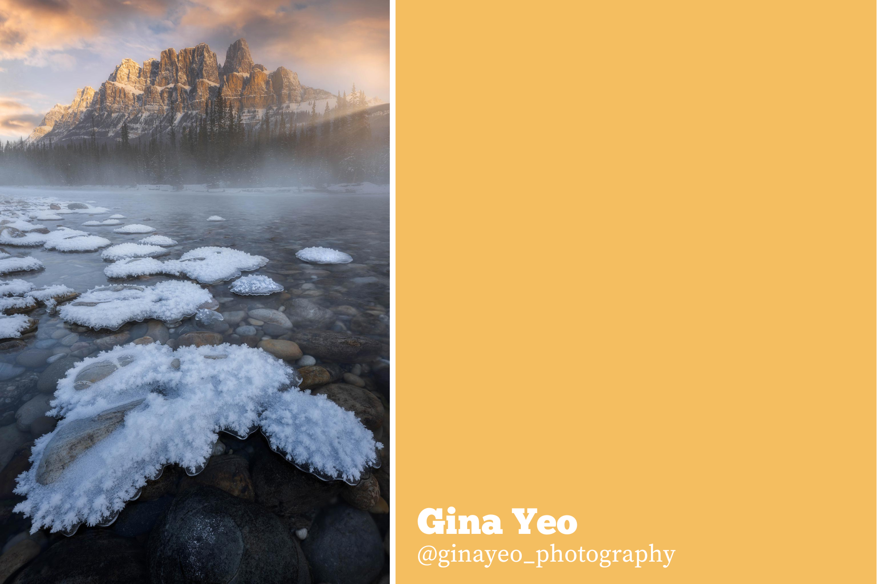 Hello Creatives Monthly Story Project - gina-fresh