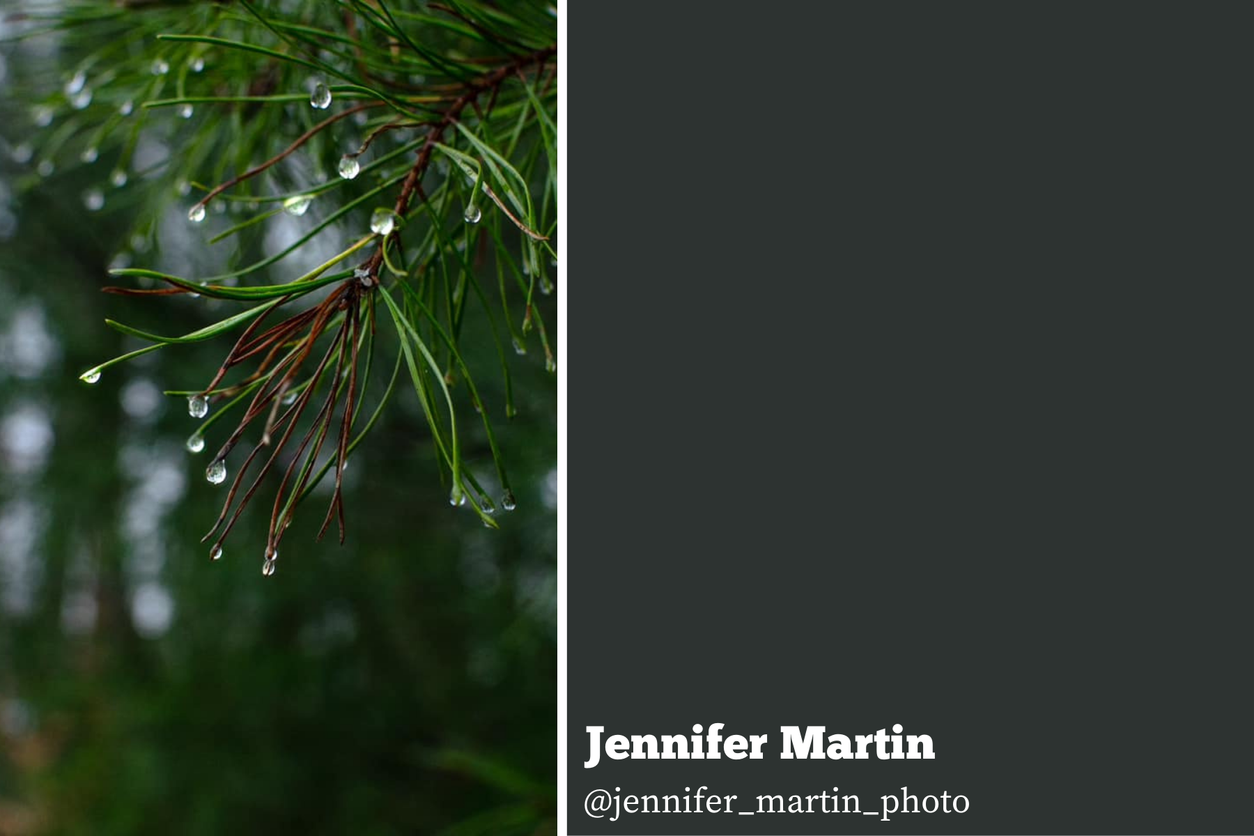 Hello Storyteller Weekly Faves - jennifer-martin-2-26