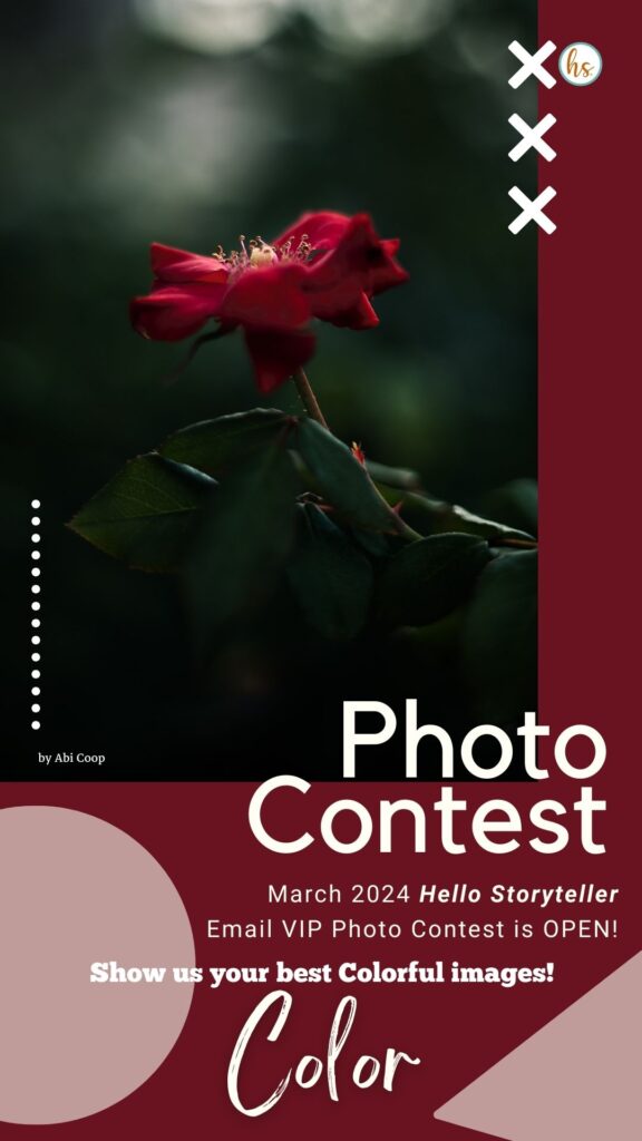 hs-vip-photo-contest-11