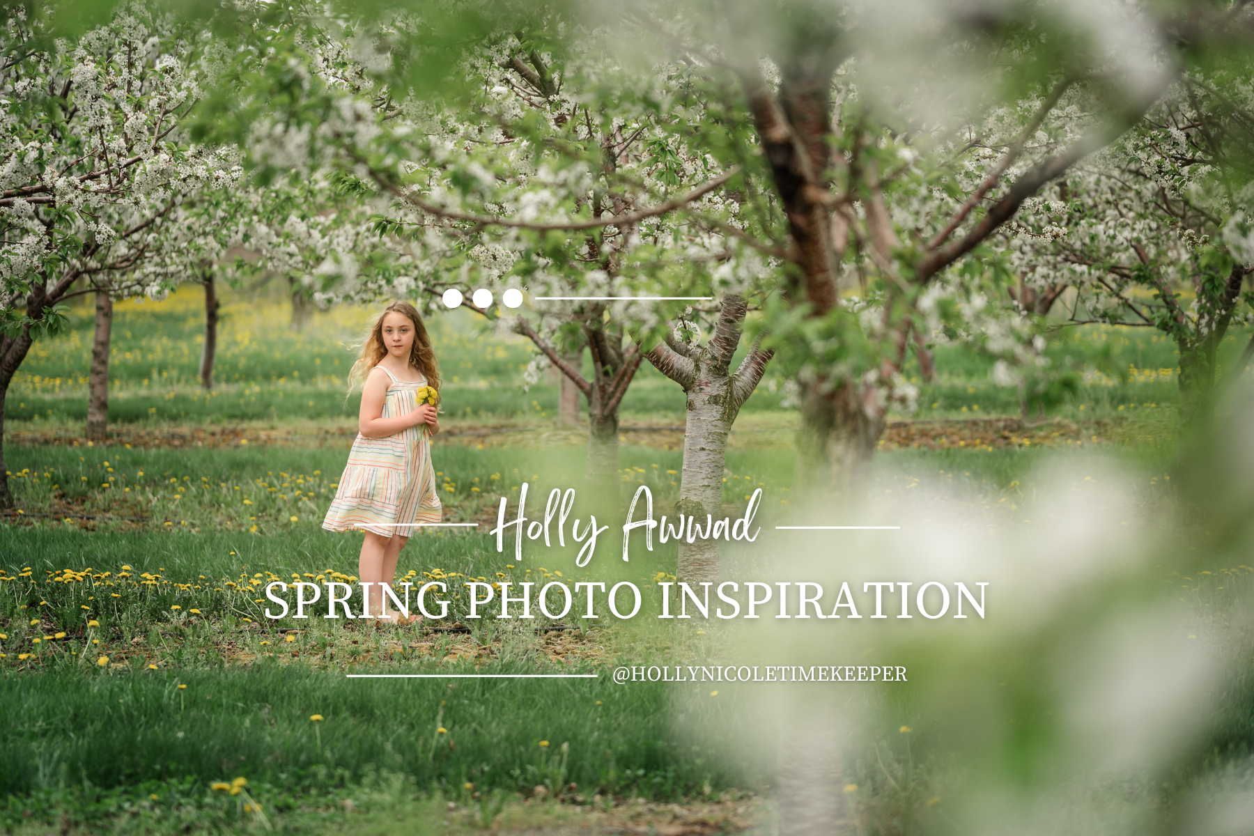 holly-spring-blog-cover