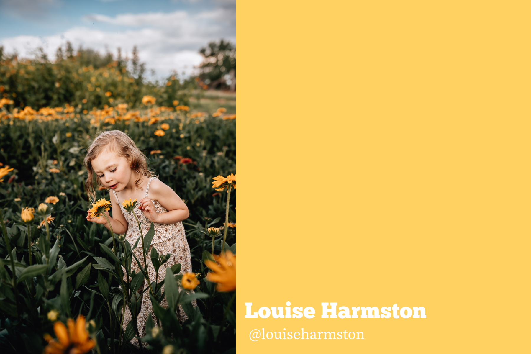 Hello Storyteller Edit Me Project - Louise Harmston