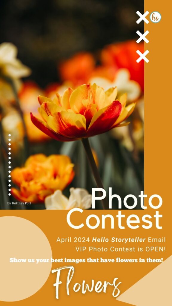 hs-vip-photo-contest-12