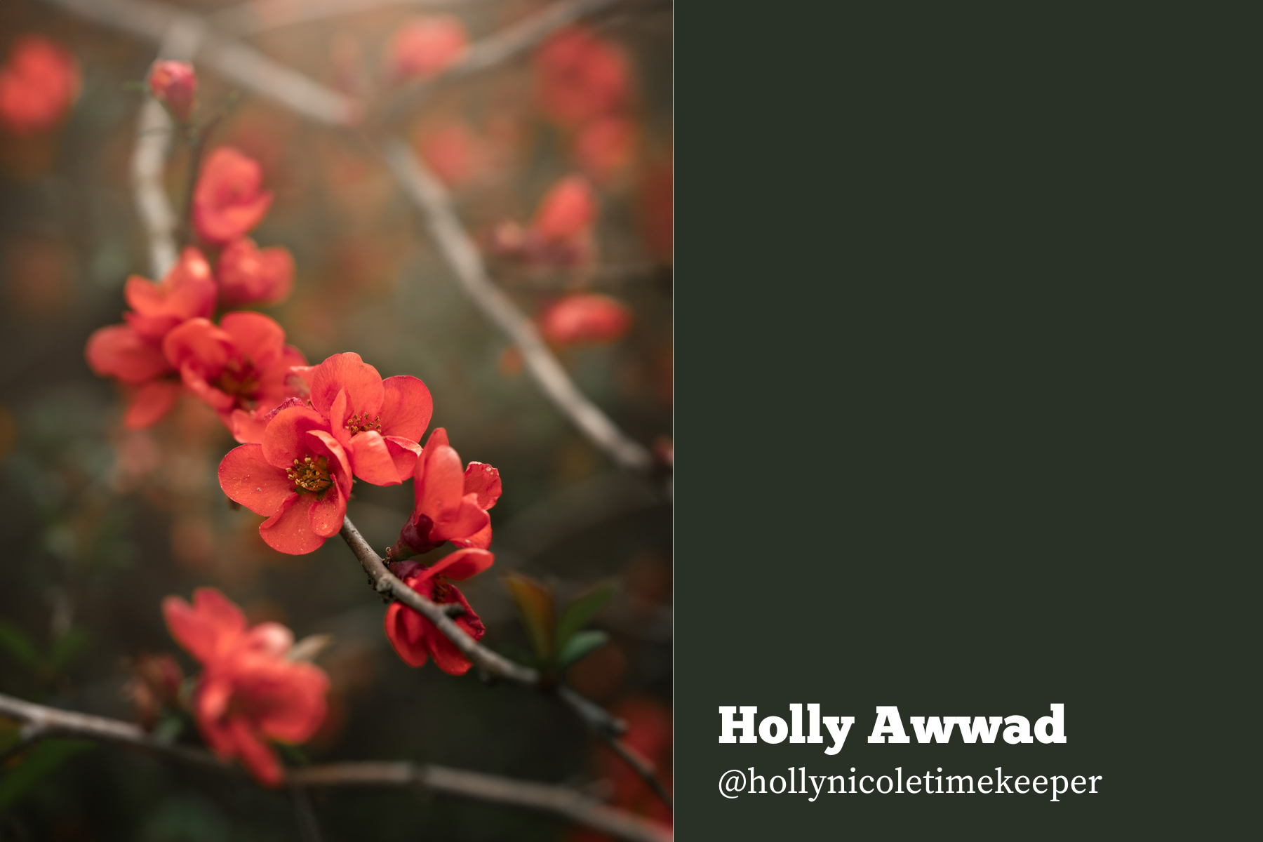 Hello Creatives Monthly Story Project - holly-nature