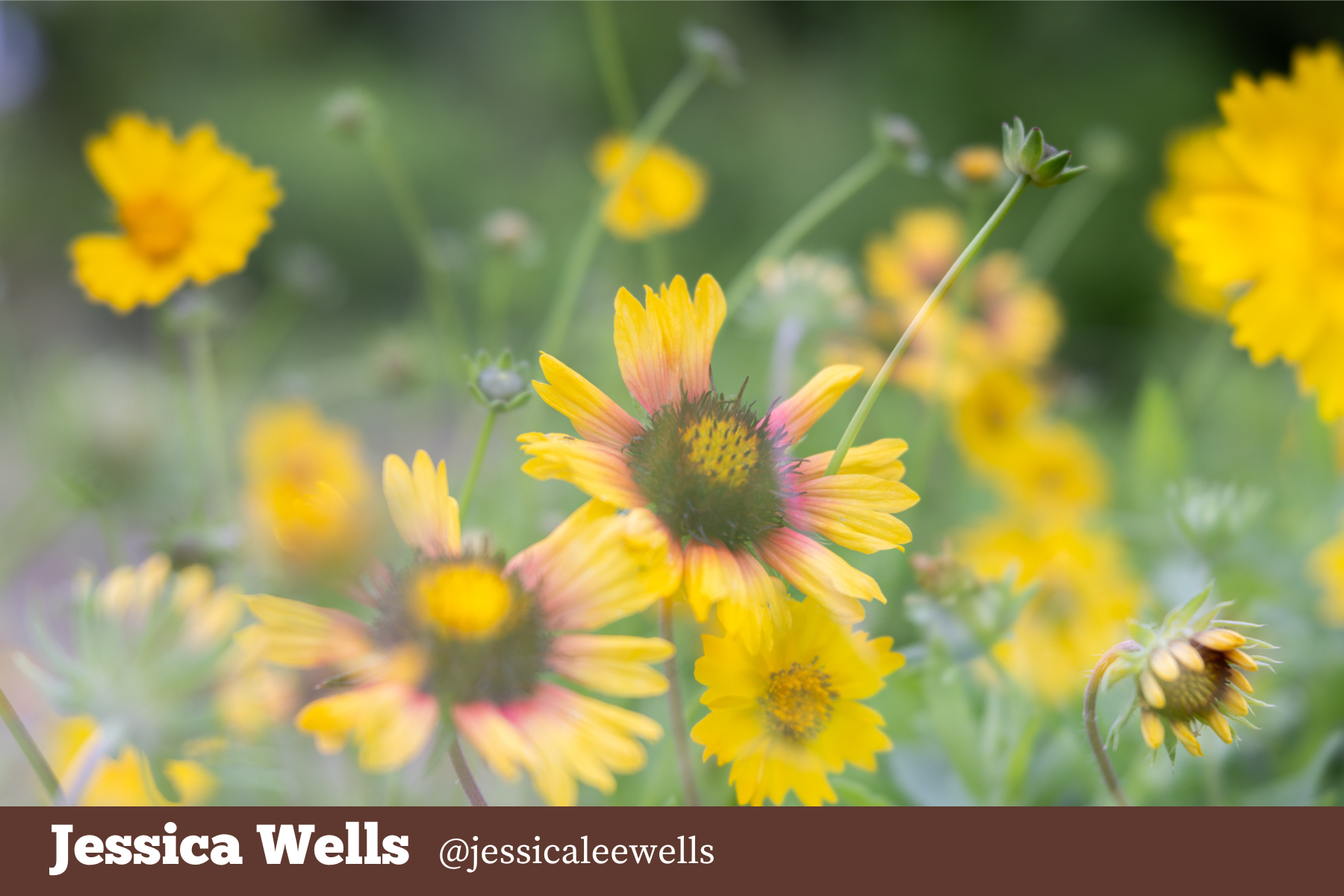 Hello Storyteller Member Project - jessica-wells-multiple-exposure