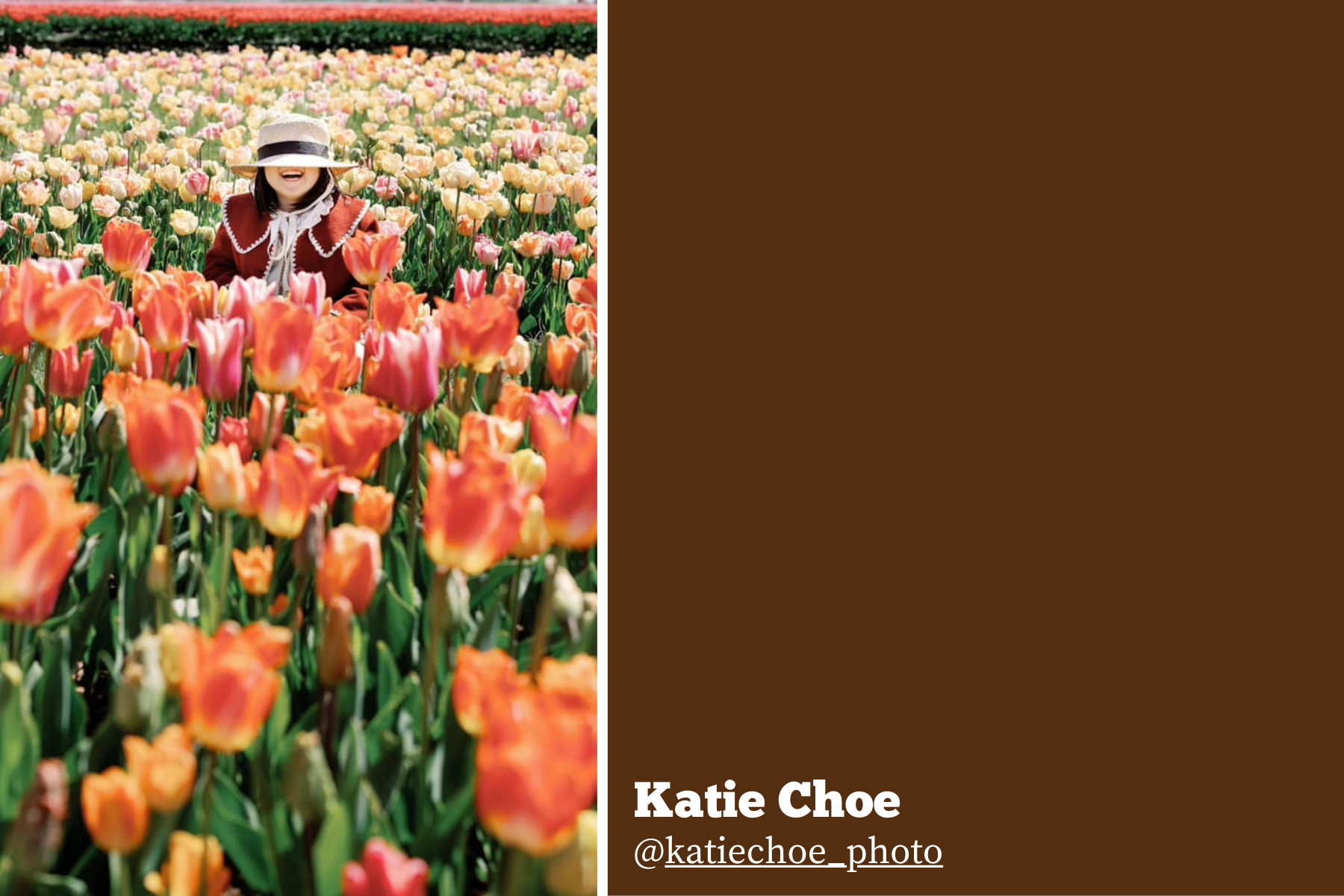 Hello Storyteller Weekly Faves - katie-choe-4-22